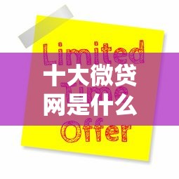 十大微贷网是什么网贷平台盘点，解决有没有黑户申请必下的网贷的问题