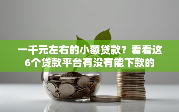 一千元左右的小额贷款？看看这6个贷款平台有没有能下款的