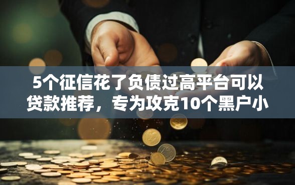 5个征信花了负债过高平台可以贷款推荐，专为攻克10个黑户小贷难题