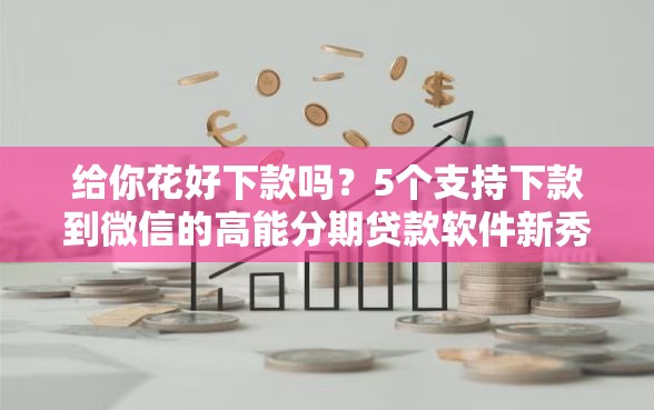给你花好下款吗？5个支持下款到微信的高能分期贷款软件新秀
