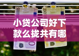 小贷公司好下款么拢共有哪些选择？10个深圳网贷平台详解