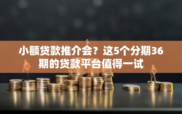 小额贷款推介会？这5个分期36期的贷款平台值得一试