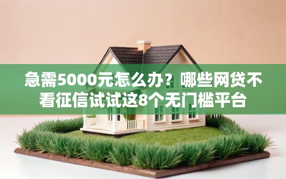 急需5000元怎么办？哪些网贷不看征信试试这8个无门槛平台