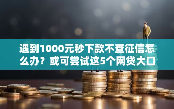 遇到1000元秒下款不查征信怎么办？或可尝试这5个网贷大口子轻松借软件