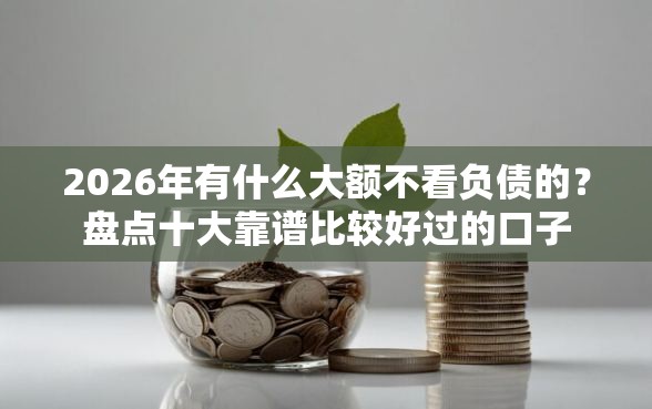 2026年有什么大额不看负债的？盘点十大靠谱比较好过的口子
