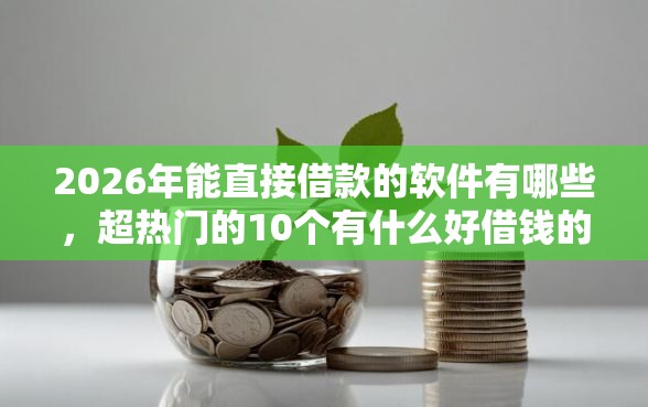 2026年能直接借款的软件有哪些，超热门的10个有什么好借钱的平台推荐