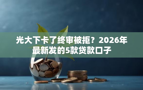 光大下卡了终审被拒？2026年最新发的5款贷款口子
