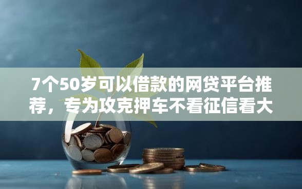 7个50岁可以借款的网贷平台推荐，专为攻克押车不看征信看大数据难题