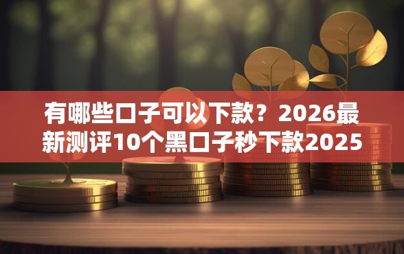 有哪些口子可以下款？2026最新测评10个黑口子秒下款2025