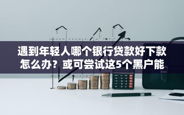 遇到年轻人哪个银行贷款好下款怎么办？或可尝试这5个黑户能下款的借款平台