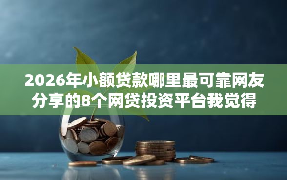 2026年小额贷款哪里最可靠网友分享的8个网贷投资平台我觉得不错！