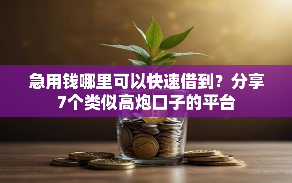 急用钱哪里可以快速借到？分享7个类似高炮口子的平台