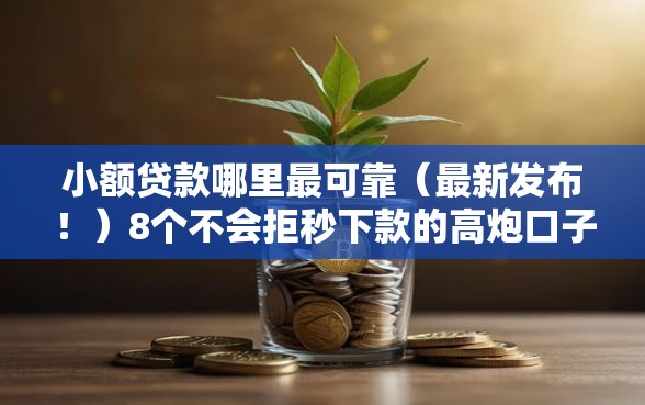 小额贷款哪里最可靠（最新发布！）8个不会拒秒下款的高炮口子