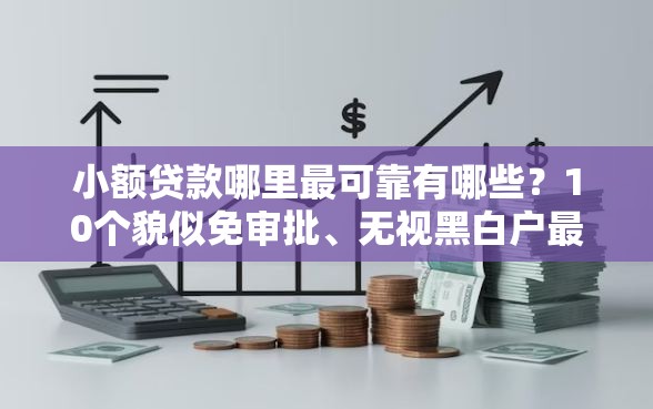 小额贷款哪里最可靠有哪些？10个貌似免审批、无视黑白户最新口子合集