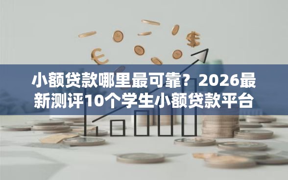 小额贷款哪里最可靠？2026最新测评10个学生小额贷款平台