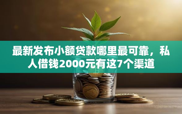 最新发布小额贷款哪里最可靠，私人借钱2000元有这7个渠道