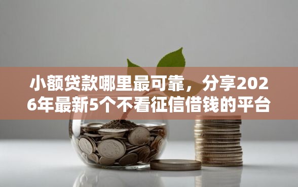 小额贷款哪里最可靠，分享2026年最新5个不看征信借钱的平台100%能借到