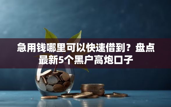 急用钱哪里可以快速借到？盘点最新5个黑户高炮口子