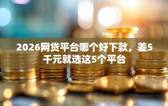 2026网贷平台哪个好下款，差5千元就选这5个平台