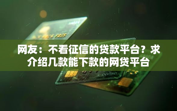 网友：不看征信的贷款平台？求介绍几款能下款的网贷平台