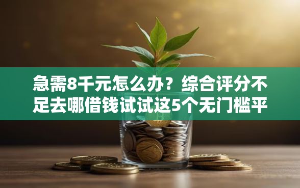 急需8千元怎么办？综合评分不足去哪借钱试试这5个无门槛平台
