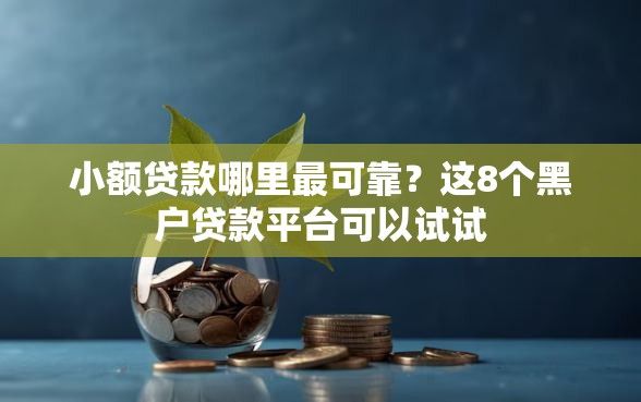 小额贷款哪里最可靠？这8个黑户贷款平台可以试试