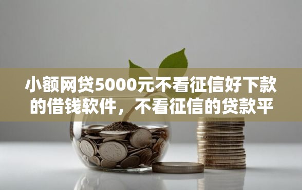 小额网贷5000元不看征信好下款的借钱软件，不看征信的贷款平台的5个平台介绍