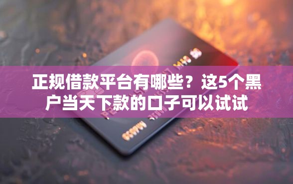 正规借款平台有哪些？这5个黑户当天下款的口子可以试试