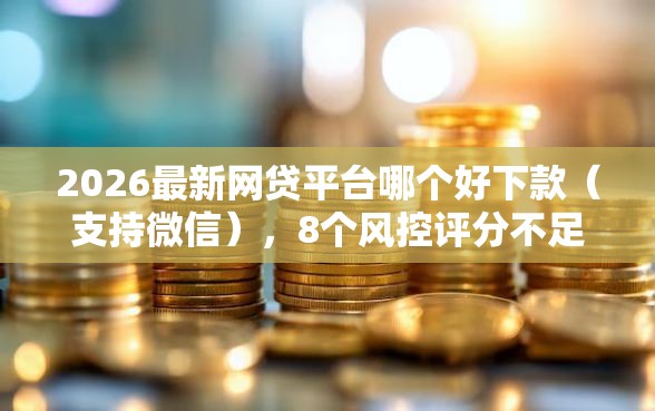 2026最新网贷平台哪个好下款（支持微信），8个风控评分不足能下款的平台无私分享