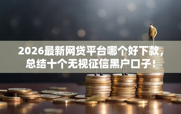 2026最新网贷平台哪个好下款，总结十个无视征信黑户口子！