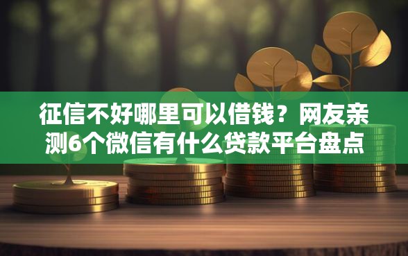 征信不好哪里可以借钱？网友亲测6个微信有什么贷款平台盘点
