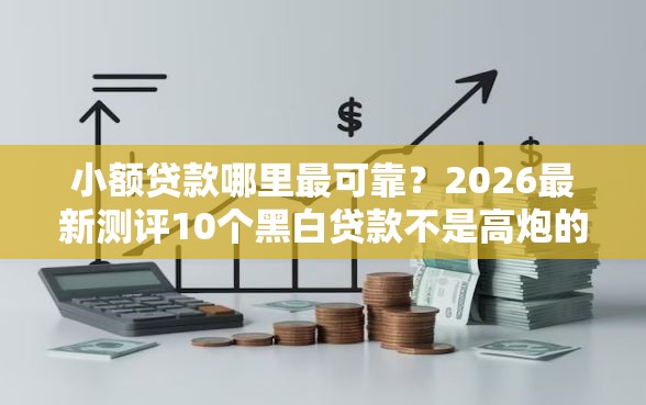 小额贷款哪里最可靠？2026最新测评10个黑白贷款不是高炮的口子