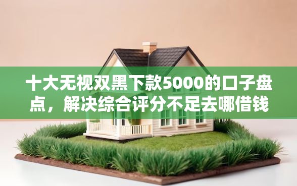 十大无视双黑下款5000的口子盘点，解决综合评分不足去哪借钱的问题