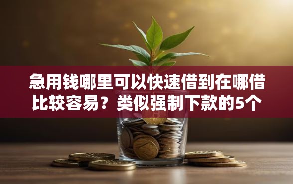 急用钱哪里可以快速借到在哪借比较容易？类似强制下款的5个口子参考