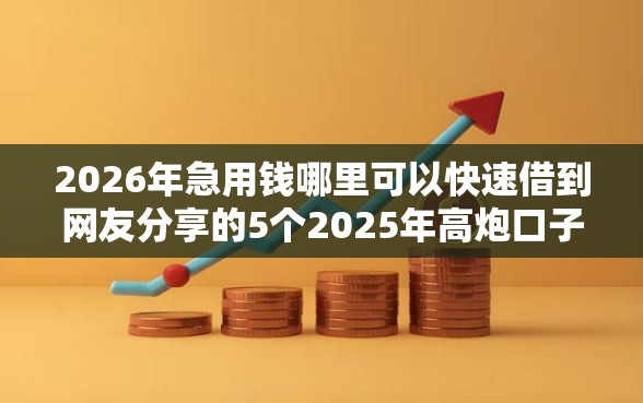 2026年急用钱哪里可以快速借到网友分享的5个2025年高炮口子秒下款我觉得不错！
