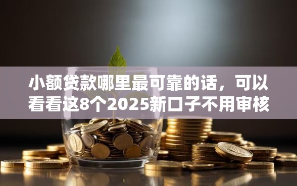 小额贷款哪里最可靠的话，可以看看这8个2025新口子不用审核的方法