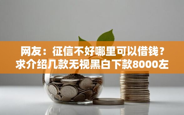 网友：征信不好哪里可以借钱？求介绍几款无视黑白下款8000左右的口子