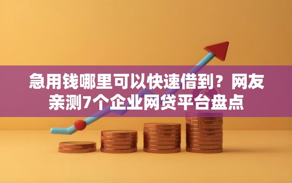 急用钱哪里可以快速借到？网友亲测7个企业网贷平台盘点
