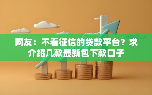 网友：不看征信的贷款平台？求介绍几款最新包下款口子