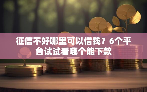 征信不好哪里可以借钱？6个平台试试看哪个能下款