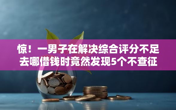 惊！一男子在解决综合评分不足去哪借钱时竟然发现5个不查征信的网贷平台，事后分享了出来