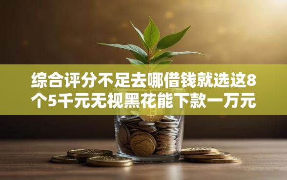 综合评分不足去哪借钱就选这8个5千元无视黑花能下款一万元口子