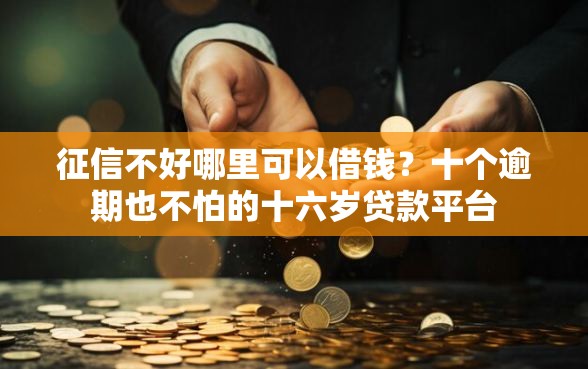 征信不好哪里可以借钱？十个逾期也不怕的十六岁贷款平台