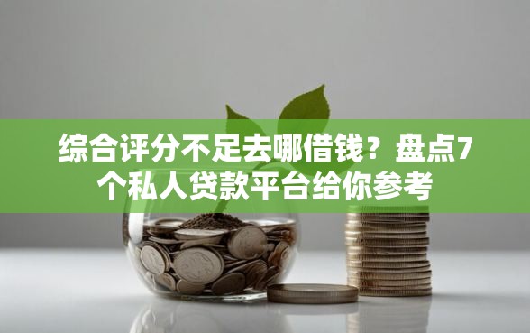 综合评分不足去哪借钱？盘点7个私人贷款平台给你参考