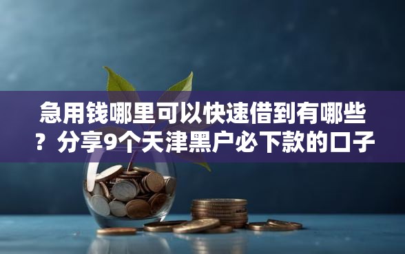 急用钱哪里可以快速借到有哪些？分享9个天津黑户必下款的口子