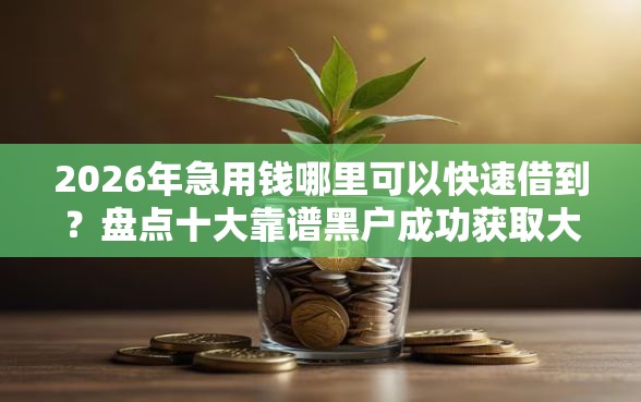 2026年急用钱哪里可以快速借到？盘点十大靠谱黑户成功获取大额贷款的口子