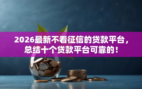2026最新不看征信的贷款平台，总结十个贷款平台可靠的！