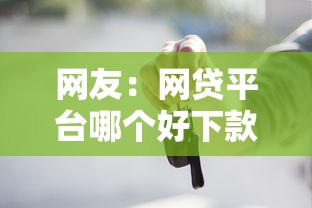 网友：网贷平台哪个好下款？求介绍几款线上车辆抵押贷款平台