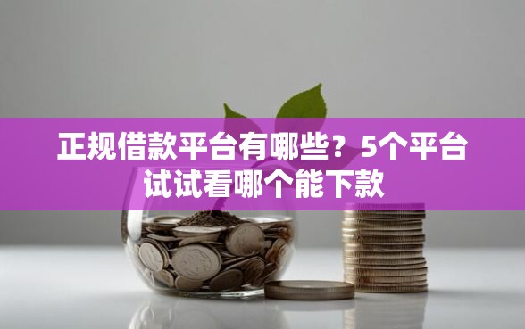 正规借款平台有哪些？5个平台试试看哪个能下款