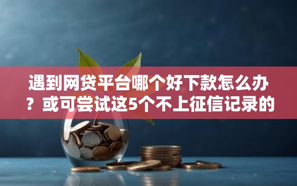 遇到网贷平台哪个好下款怎么办？或可尝试这5个不上征信记录的贷款平台